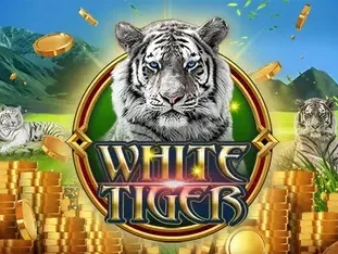 White Tiger